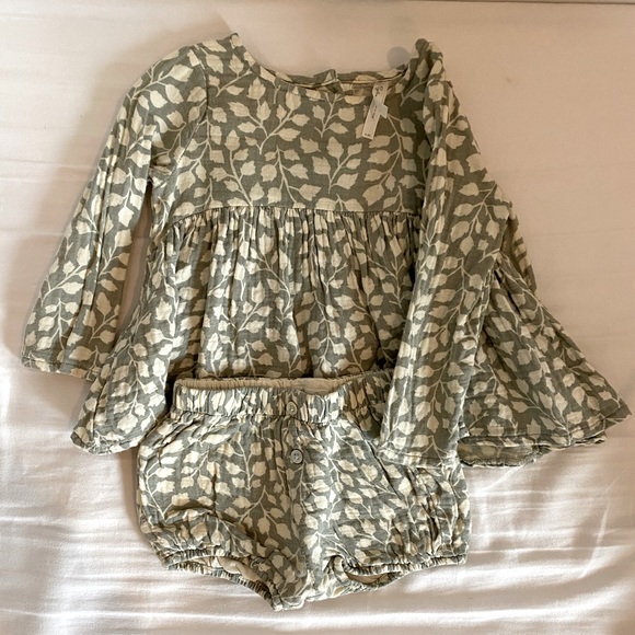 Rylee + Cru Other - Rylee and Cru leaves set